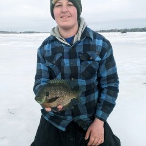 Meet your Posher, Avery